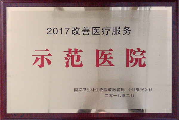 2017年度改善医疗服务示范医院